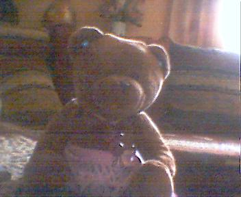mon nounours
